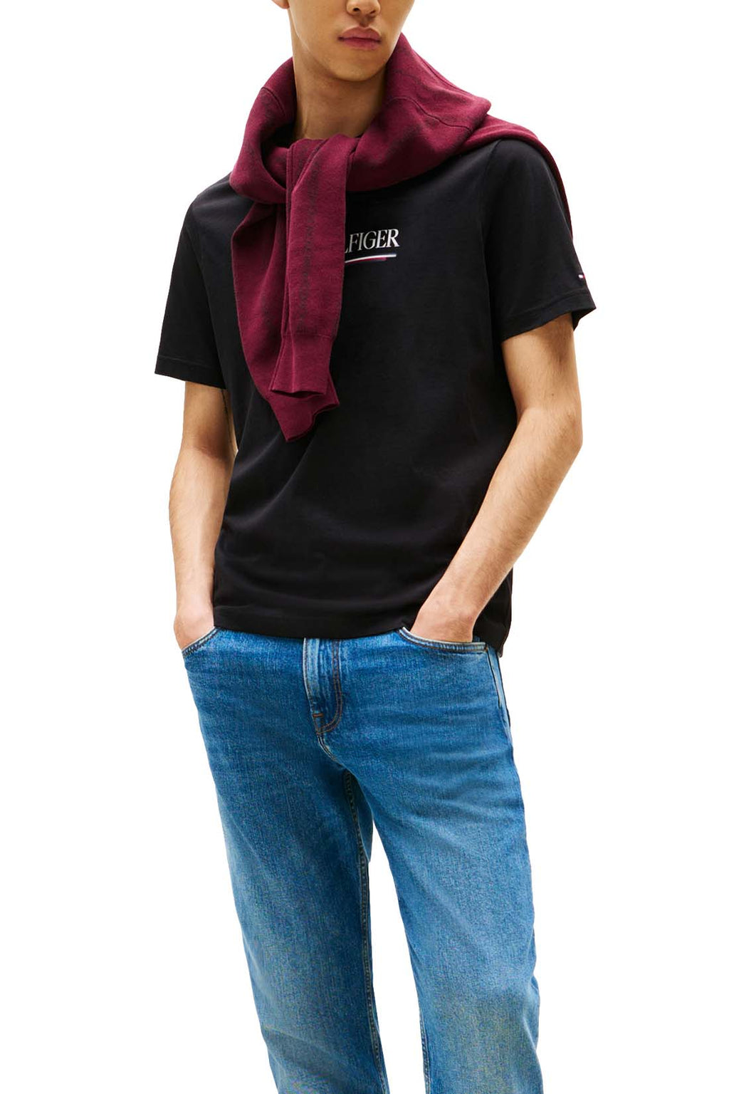 TOMMY HILFIGER - T-shirt uomo con logo  - Taglia L-1